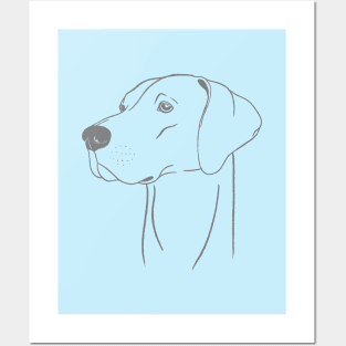 Weimaraner (Light Blue and Grey) Posters and Art